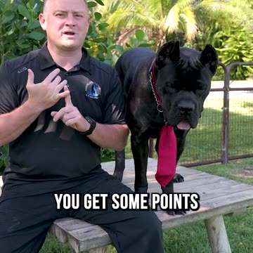 Give the Gift of Free Dog Training This Valentine’s Day