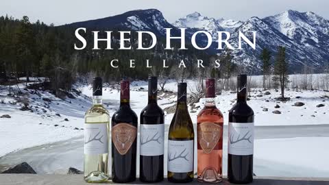 Shed Horn Cellars