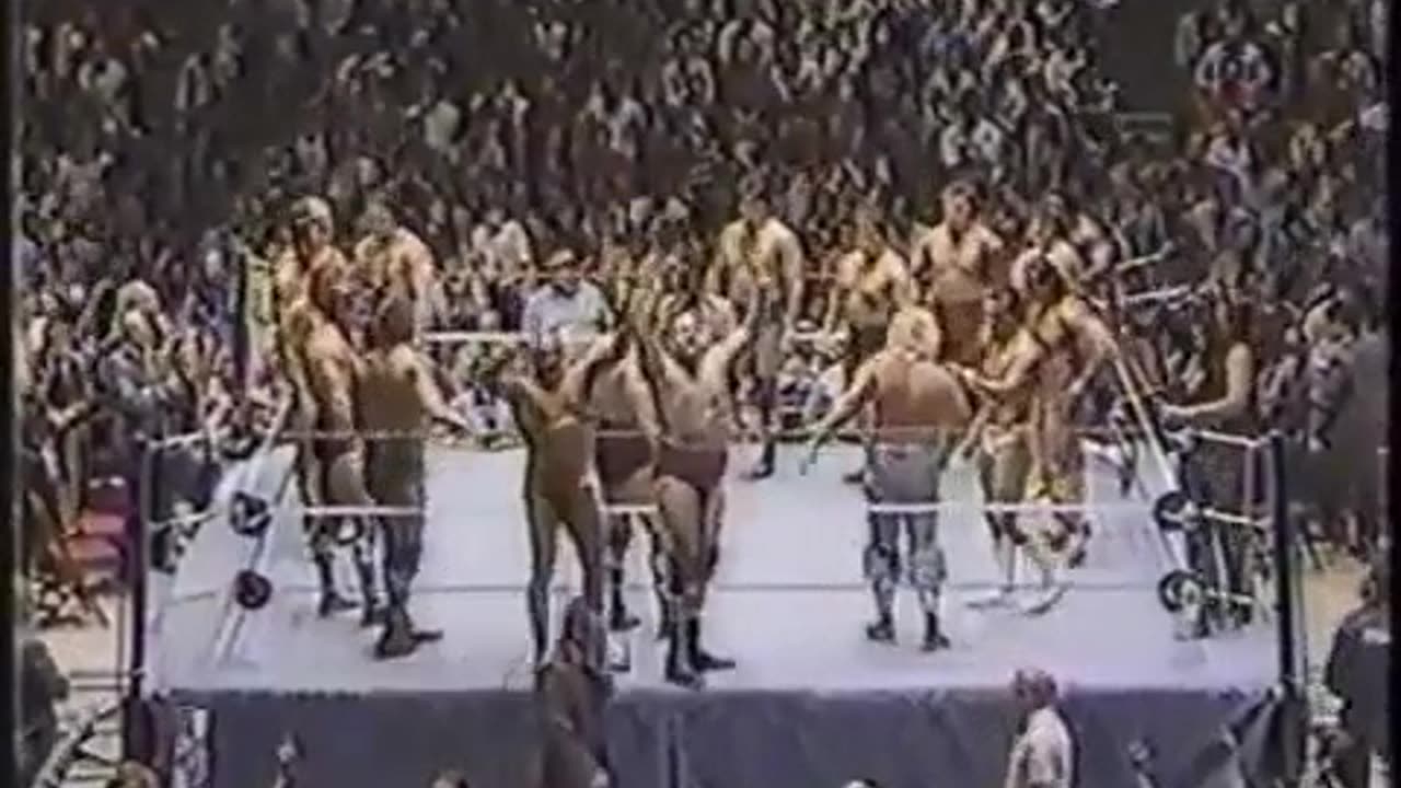 Tag Team Battle Royal