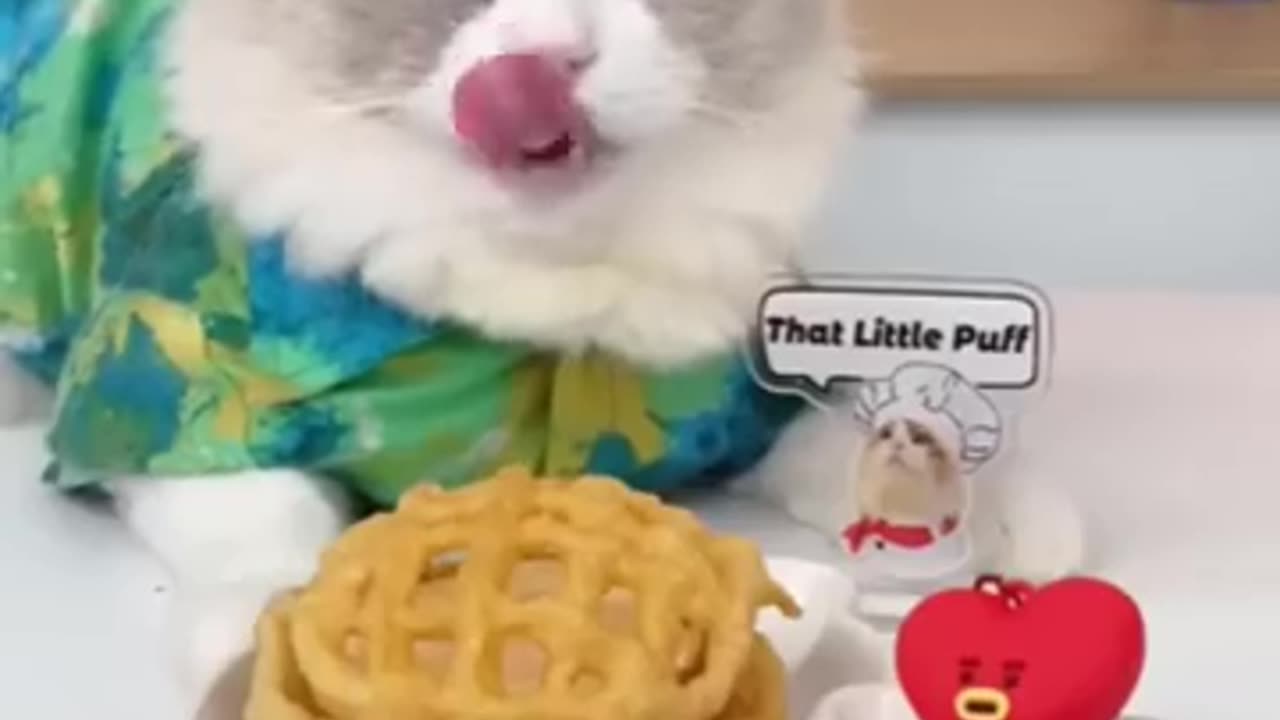 Thats litle puf 2(p funny 🤣