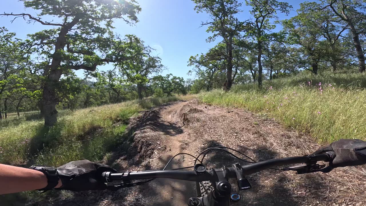 [MTB] Exchequer Bike Park (La Grange, Ca); Tarantula Trail