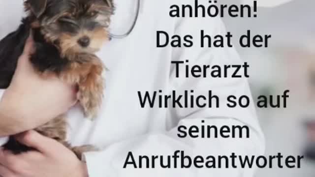 Tierarzt spricht ... Deutschland anno 2023