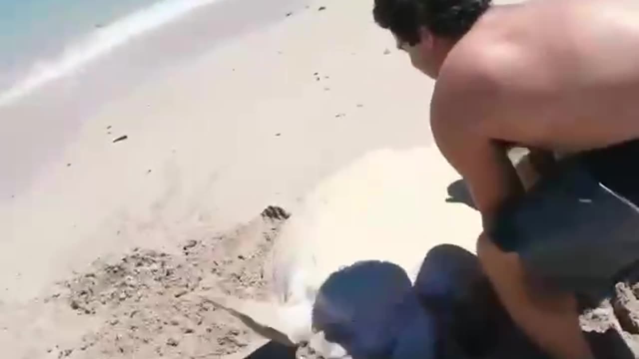 Beautiful Save