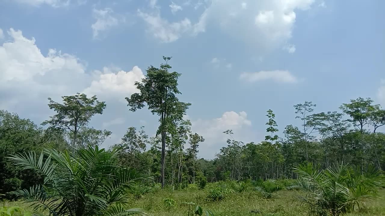 TIMELAPSE Awan Palembang 3