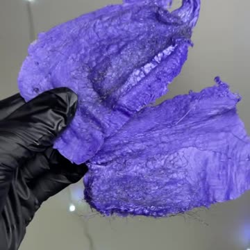 Understanding Hair Removal: Hair Adhesion in Bikini Waxing with LashedwithLana