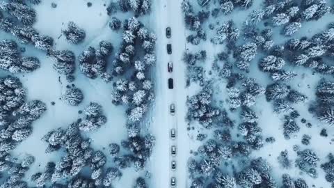 From grass tree on the way to the kanas, traffic jams are so artistic feeling,