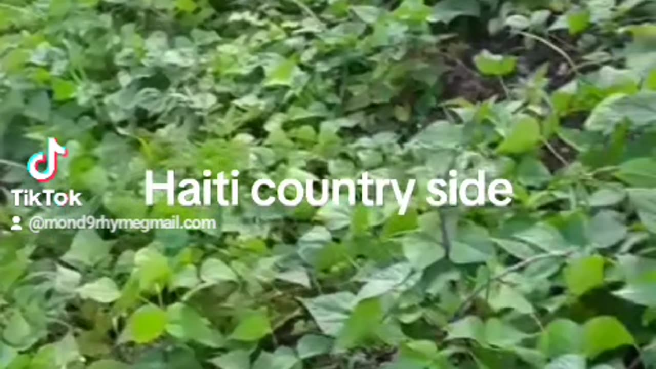 Beautiful country side of Haiti