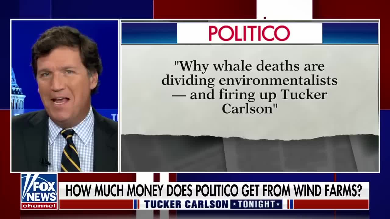 Tucker Carlson laughs at Politico following 'news story' about him