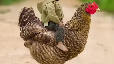 Cute #funny video#