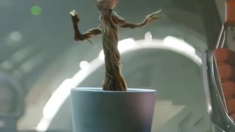 Groot