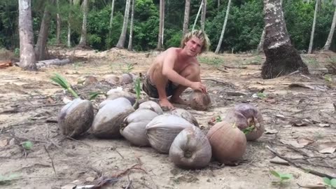 Delicious COCONUT SPROUTS on Ko Kood, Thailand