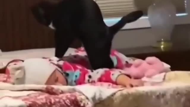 Cat Massaging a Baby