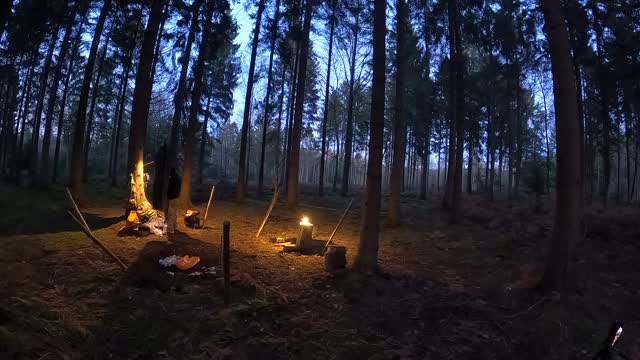 Setting up the lighting for filming in a woodland. 22nd Jan 2023