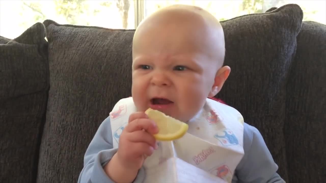 Funny Emotion When Babies First Eat Lemon