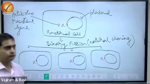 216. S&T-RT10