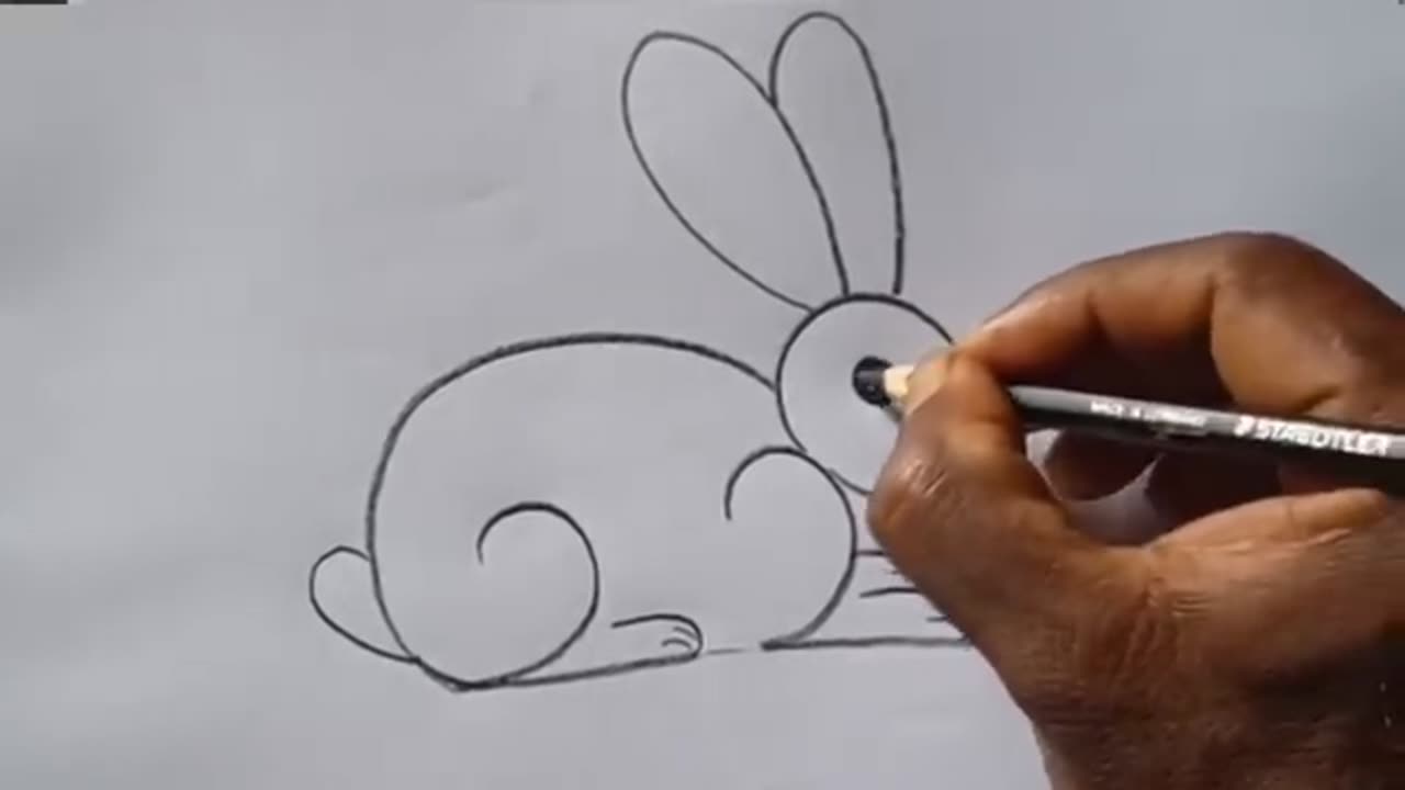 Draw rabbit