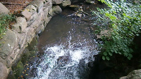 Pålsjö mölla med omgivningar, Helsingborg 10 Sept. 2013