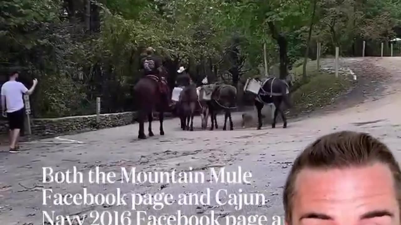 People helping the people in NC. We the people. Mountain Mule Packers.