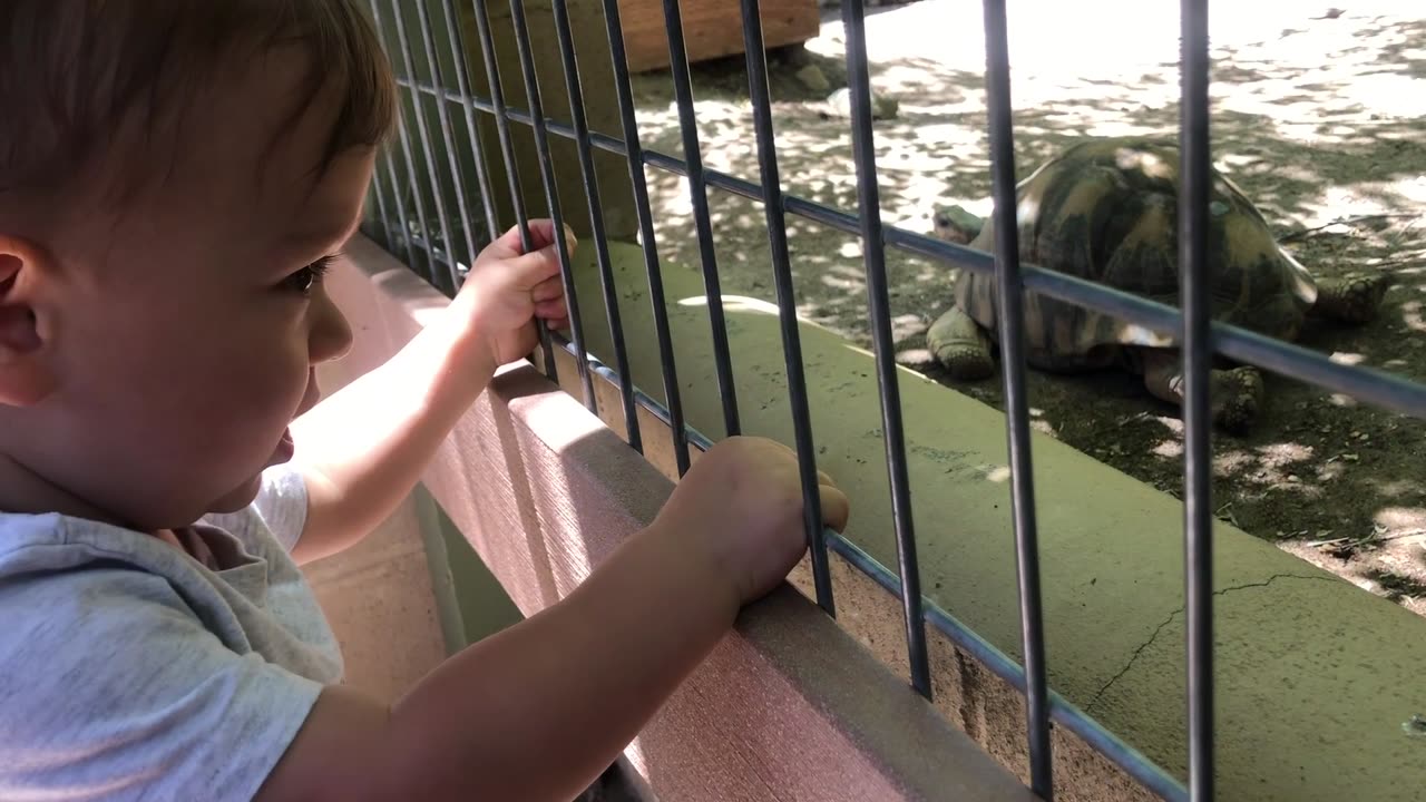 Zoo wGmama 1st Time