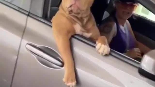 Hey bro do you need something? Maybe you want to ask?