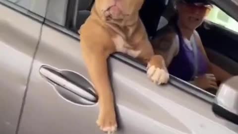 Hey bro do you need something? Maybe you want to ask?