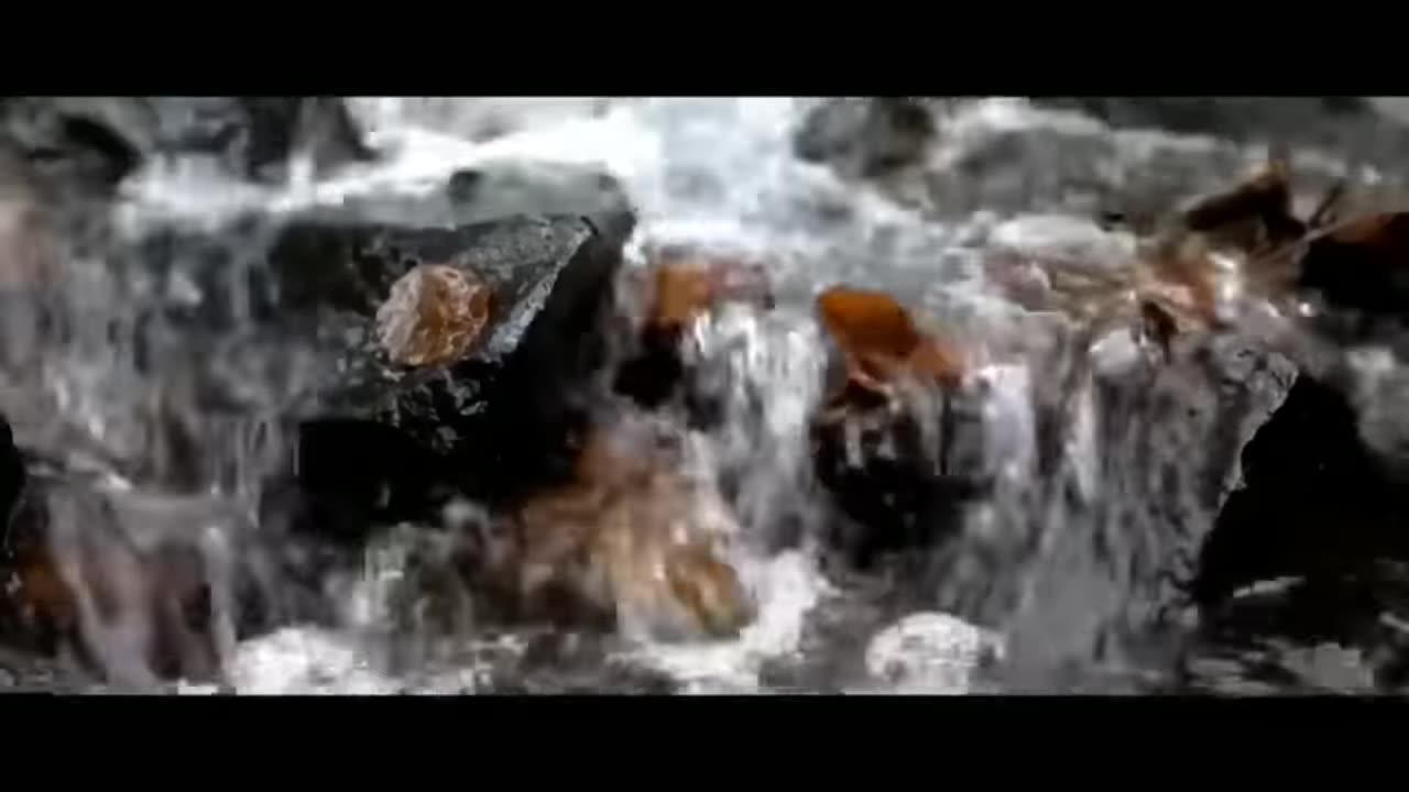 Nature bird bamboo flute morning relaxing music.