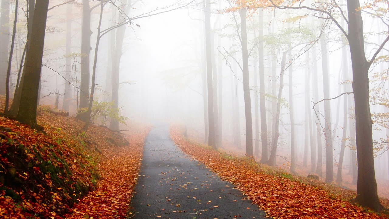 There is no condemnation to those who walk according to the Spirit – Sermon Audio 9/22/24