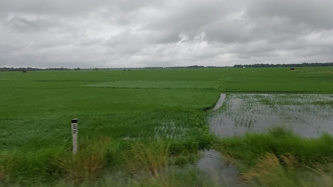 Village Greenery IN Rainy Day FROM Train ¤ Amzing Views From TRAIN °°°