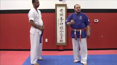 Aikijujutsu