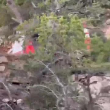 Tourist sits on dangerous Grand Canyon ledge past 'do not enter' sign