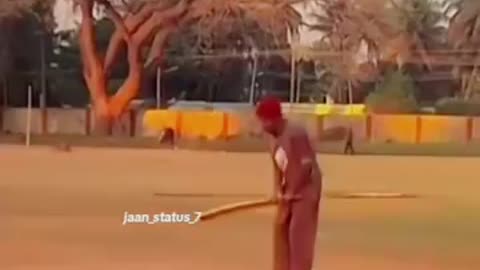 Cricket lover