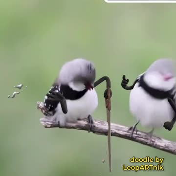 Wings of Wonder: Stunning Bird Art Creations