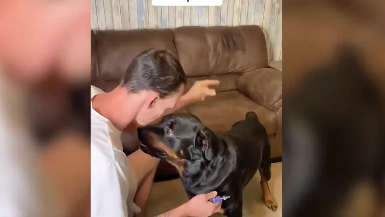 Funny Animal Part 73