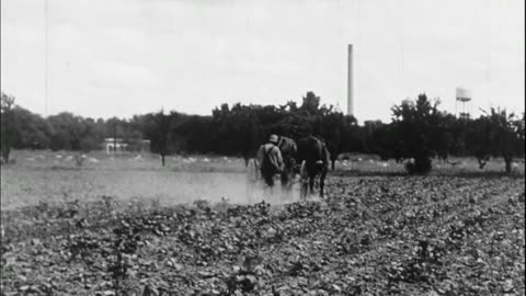 Mental Hospital, Oklahoma Department Of Mental Health (1953 Original Black & White Film)