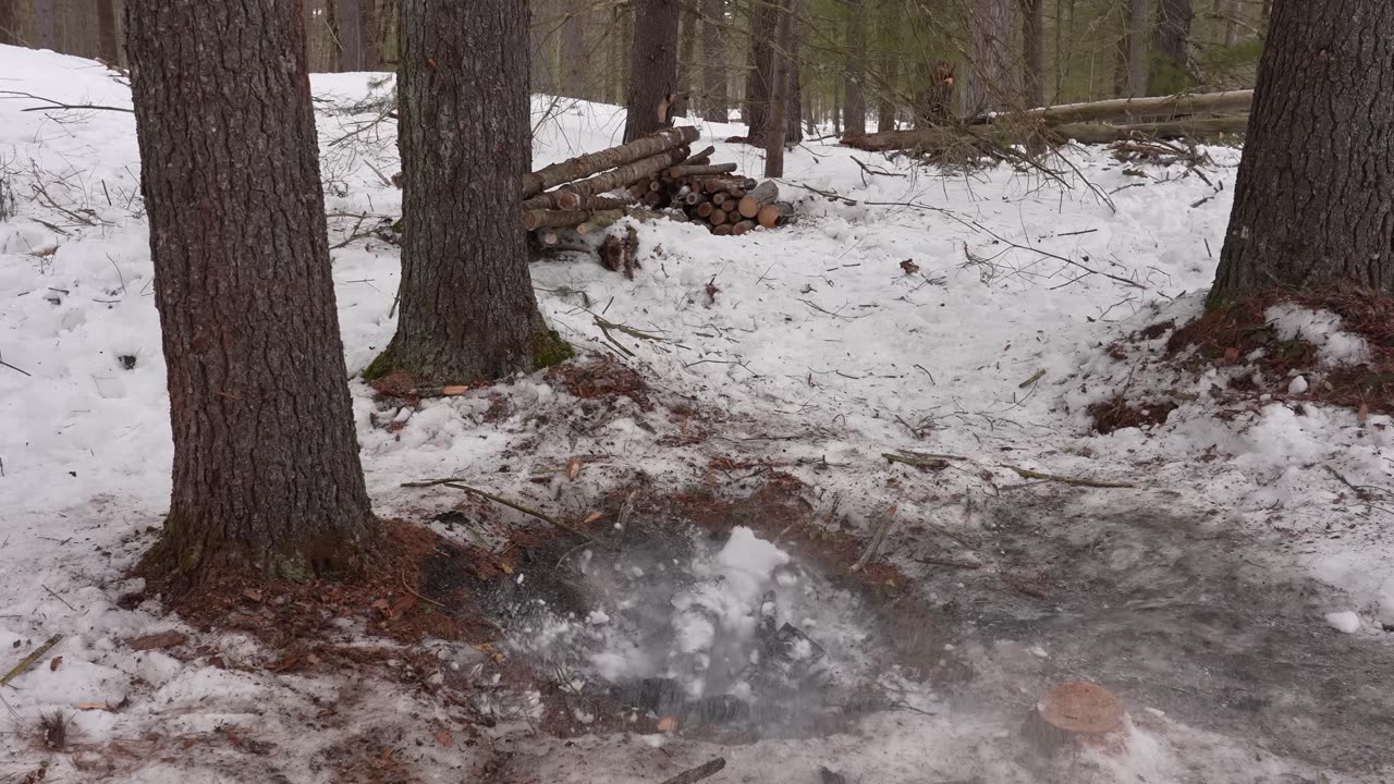 Solo Winter Camping at Bush Camp - Chicken on a Rope