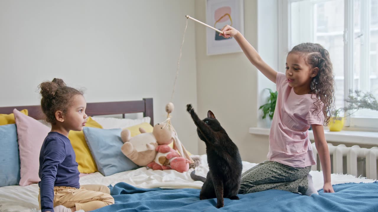 Kiddos & Kittens: Epic Playtime Shenanigans