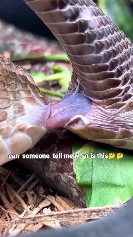 Most people won't know this