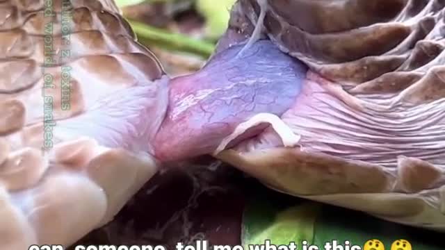 Most people won't know this
