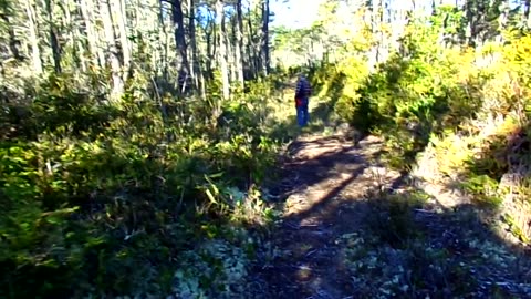 Mushroom hunting 9/23/24: