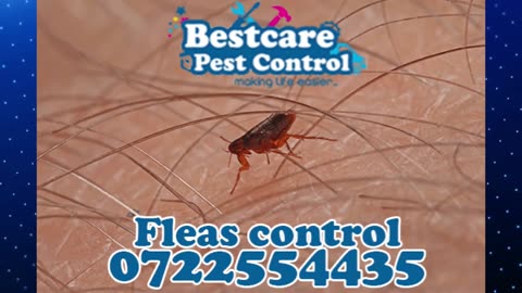 Fumigation Pest Control in Nairobi Kenya 0722554435