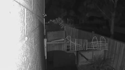 Orb caught on nest camera