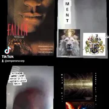 I OPERATE AS A WHITE BLOD CELL DEVOURING MY ENEMIES FROM WITHIN