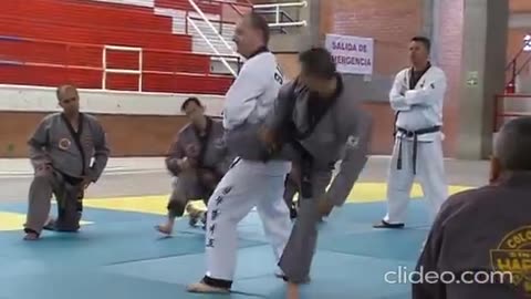 Hapkido