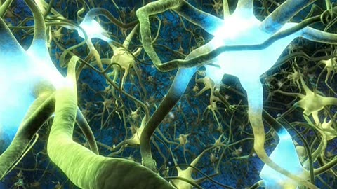 What the Bleep do We Know Quantum Edition 2of2