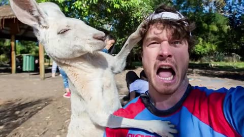 TRY NOT TO LAUGH 😂 Best Funny Video Compilation PART 02