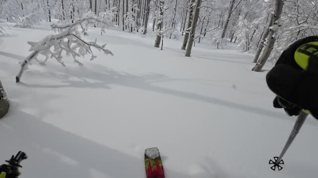 Jan 29th Last run and it was a beautiful ending