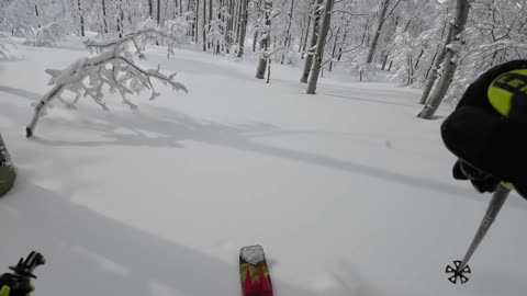 Jan 29th Last run and it was a beautiful ending