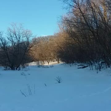 Psalm 47 Revised Standard (God reigns over the nations)