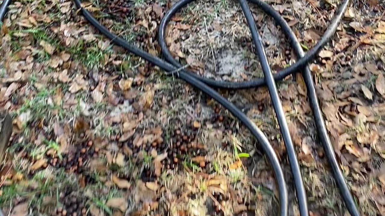 Time to clean the four-wheeler