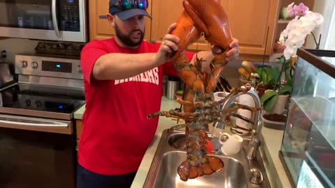 BUYING LIVE PET 15lb LOBSTER ONLINE! MASSIVE